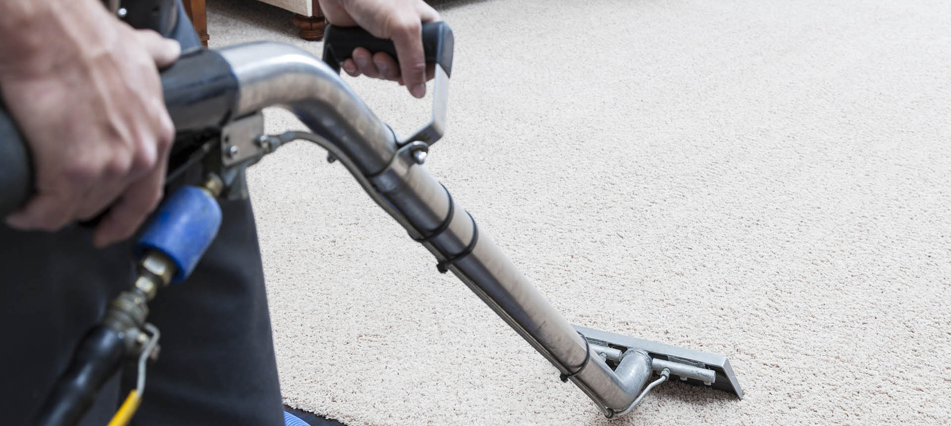 carpet cleaning service ma