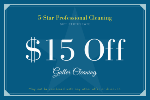 Gutter Cleaning Coupon
